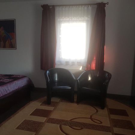 Casa David Panzió Rădăuţi Kültér fotó